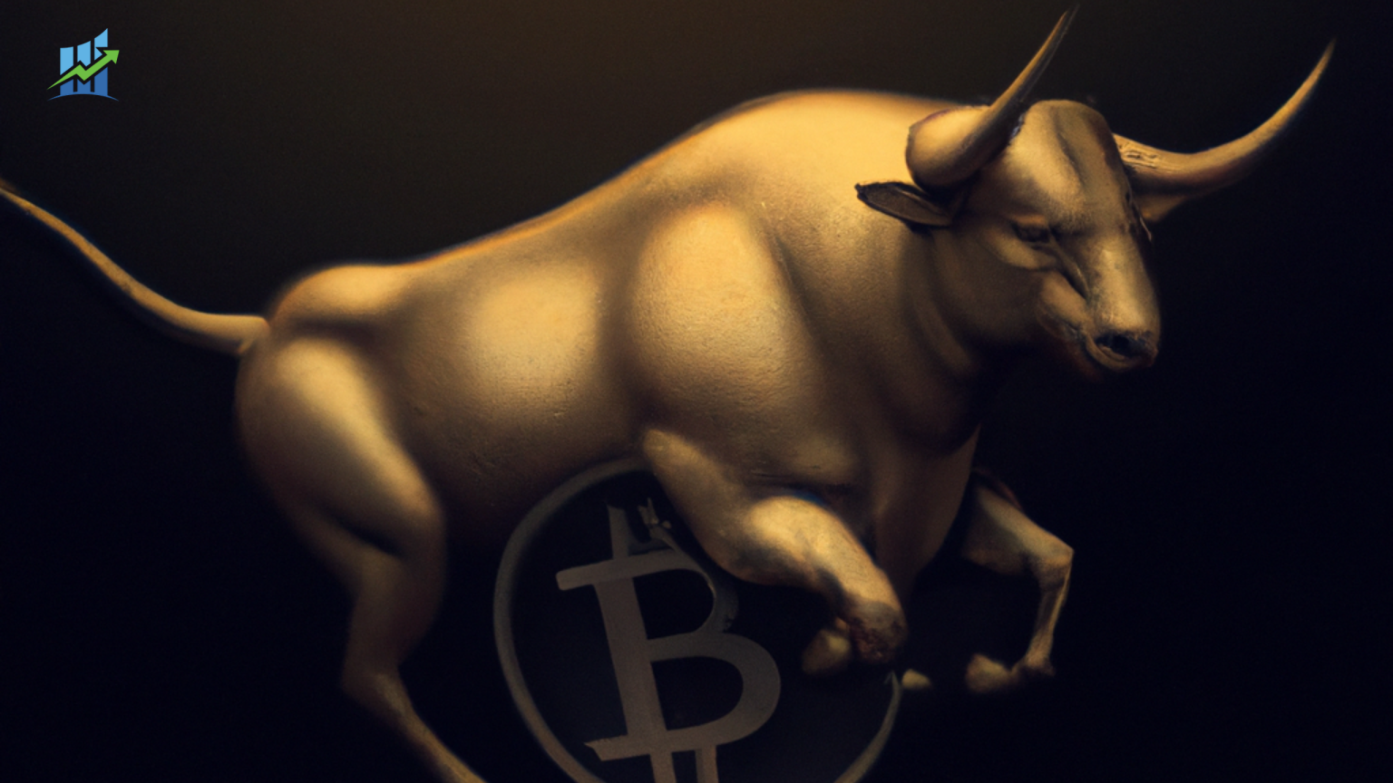 Bitcoin bullrun