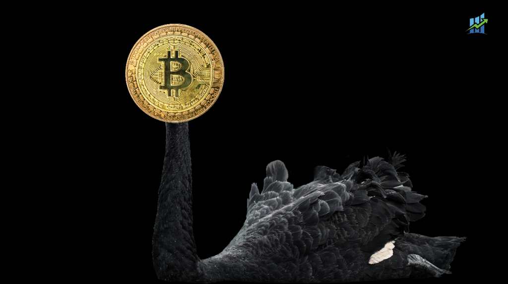 The Resilience of Bitcoin: Surviving Black Swan Events Black Swan Bitcoin events