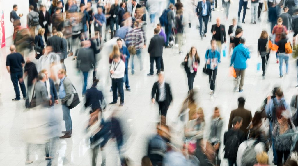 Crowding Out Effect