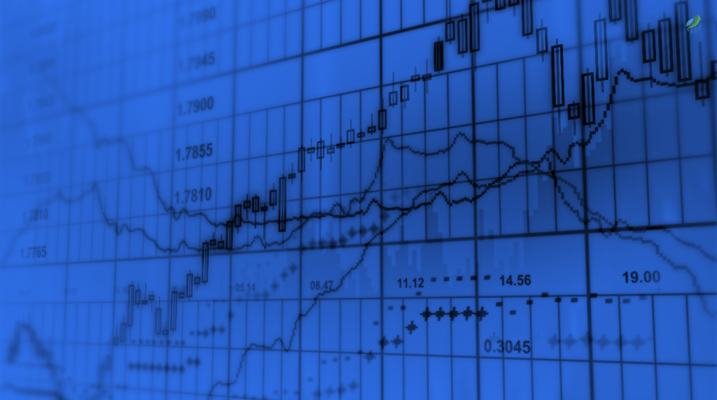 Navigating the Current Stock Market: November 2023 Stock market in November