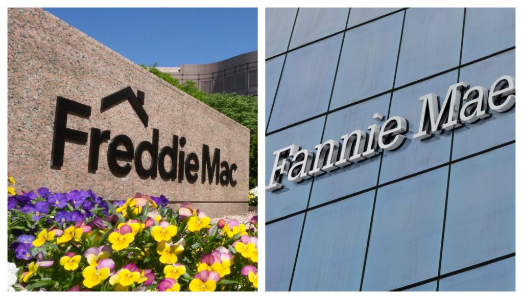 fannie mae and freddie mac
