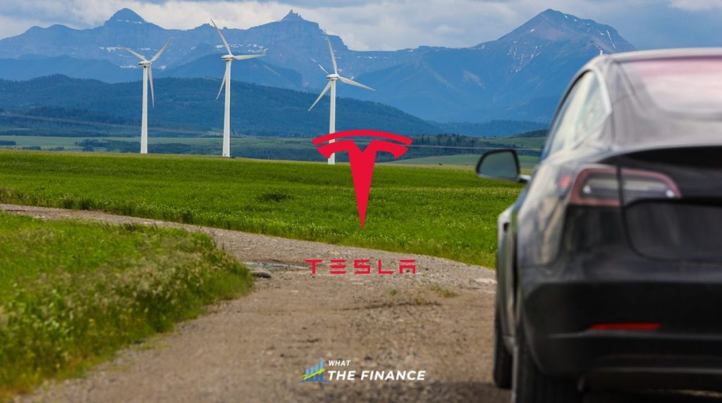 What Next for Tesla and Elon Musk? tesla
